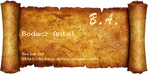 Bodacz Antal névjegykártya